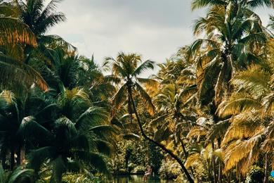 Sandee Best Beaches in American Samoa