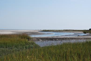 Sandee Fish Haul Inlet