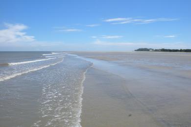 Sandee - Mitchelville Beach Park