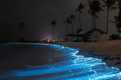 Sandee Bioluminescent Beaches in the United States Virgin Islands