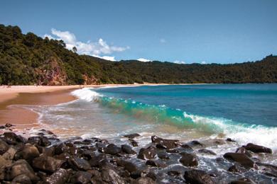 Sandee Best Beaches in Whangapoua