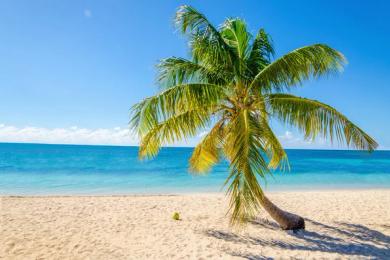 Sandee Best Camping Beaches in Grenada