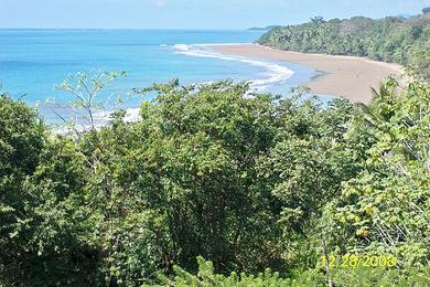 Sandee Best Dog Beaches in Costa Rica