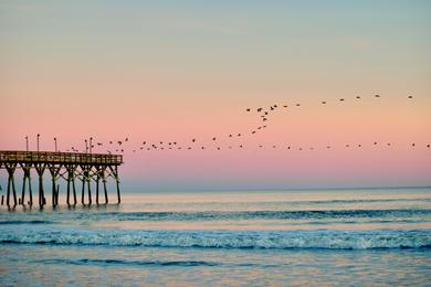 Sandee Best Beaches in Bald Head Island