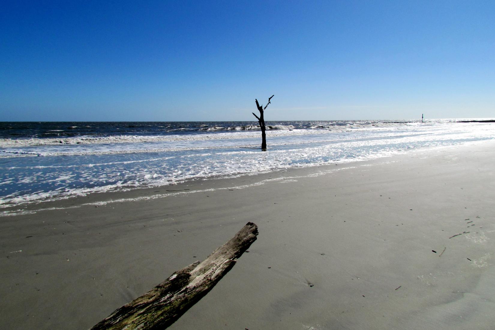 Sandee - Hunting Island State Park Beach