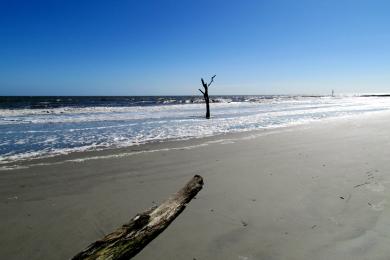 Sandee - Hunting Island State Park Beach