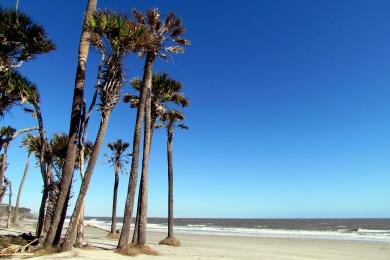 Sandee - Hunting Island State Park Beach