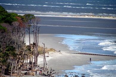 Sandee - Hunting Island State Park Beach