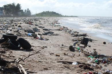 Sandee Most Polluted Beaches in Australia