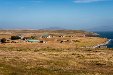 Sandee Best dog beaches in Falkland Islands 