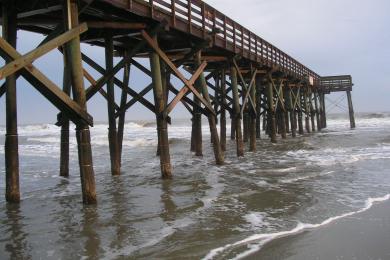 Sandee - Isle Of Palms County Park