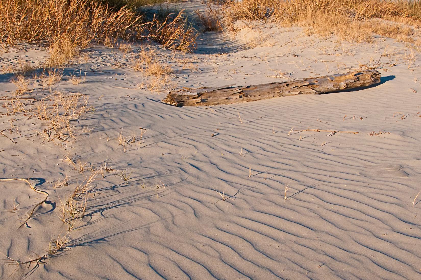 Sandee - Isle Of Palms County Park