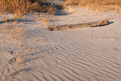 Sandee - Isle Of Palms Beach