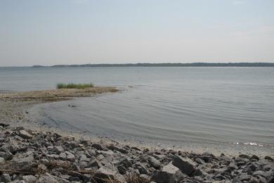 Sandee - Dafuskie Island