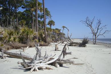 Sandee Otter Island Photo