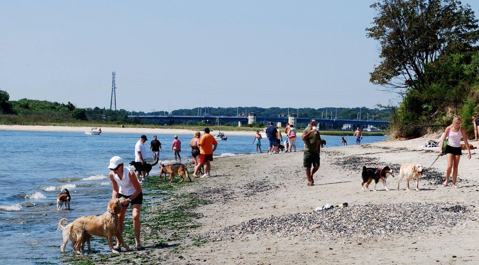 Sandee - Manasquan Dog Beach Park