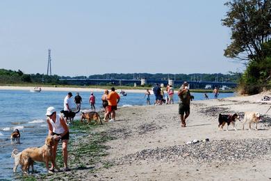 Sandee Manasquan Dog Beach Park