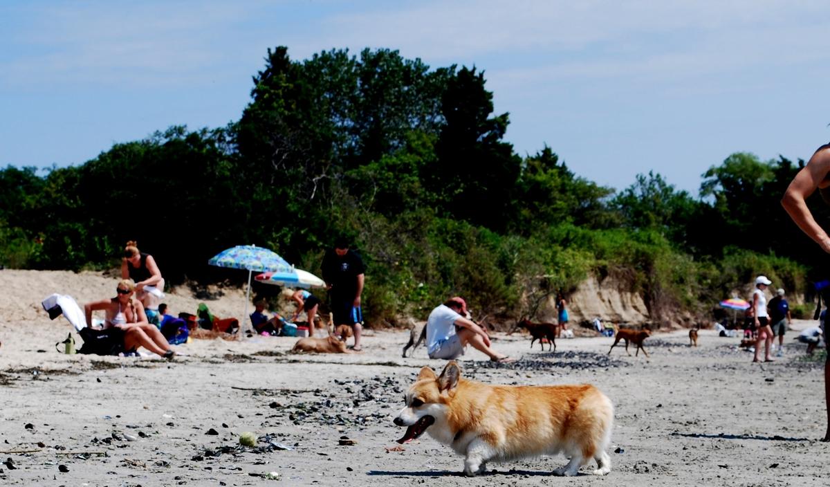 Sandee - Manasquan Dog Beach Park