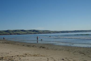 Sandee - Aldinga Beach