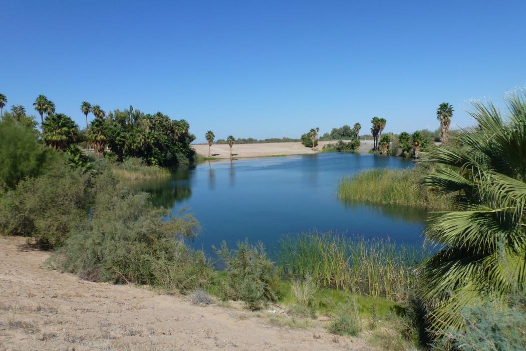 Sandee Quechan Marina