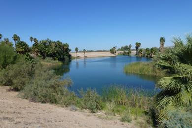 Sandee Quechan Marina