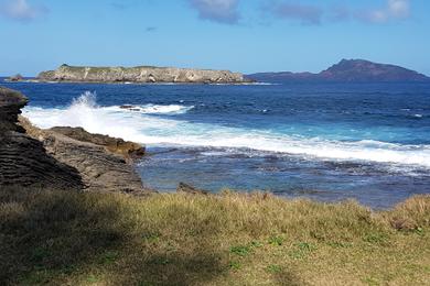 Sandee Best Surfing Beaches in Norfolk Island