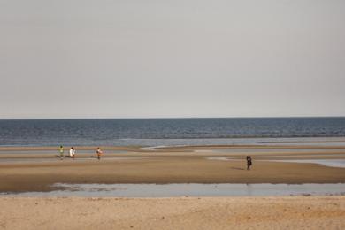 Sandee Most Crowded Beaches in Mozambique