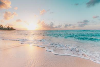 Sandee Best Beaches in Tofino