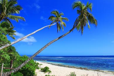 Sandee Best Surfing in Tonga