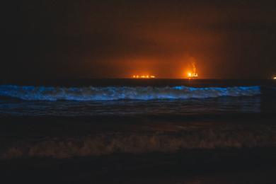 Sandee Bioluminescent Beaches in the Cayman Islands
