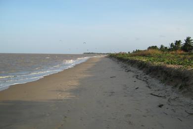 Sandee Best Surf Beaches in Guyana