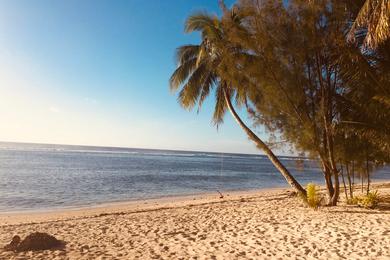 Sandee Best Surfing Beaches in the Cook Islands