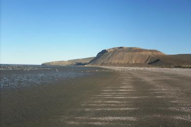 Sandee Playa Los Limites