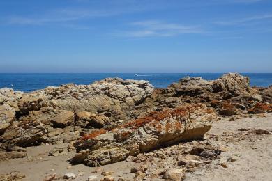 Sandee O'sullivan Beach