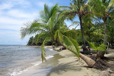 Sandee Best Beaches in Cobano