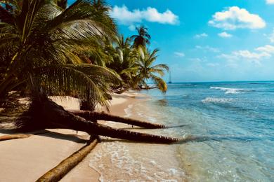 Sandee Best Dog Beaches in The Cayman Islands