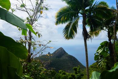 Sandee Best Beaches in the Caribbean Netherlands