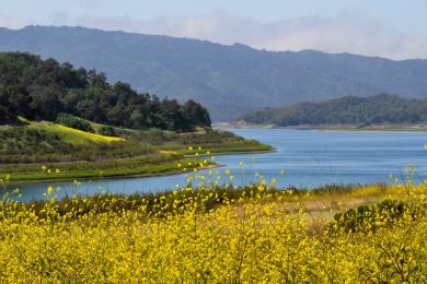 Sandee Lake Casitas Photo