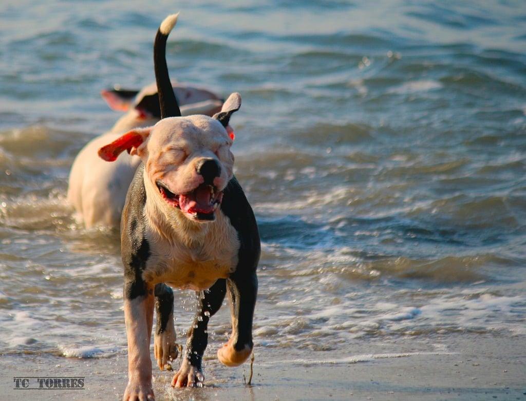 Beach Image