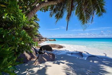 Sandee White Sand Beaches in Seychelles