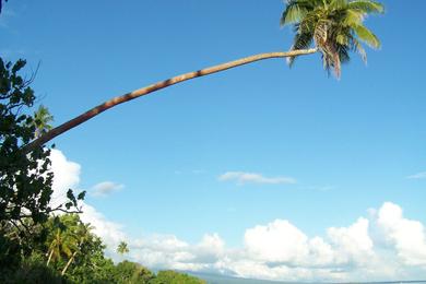 Sandee Best Beaches in Upolu