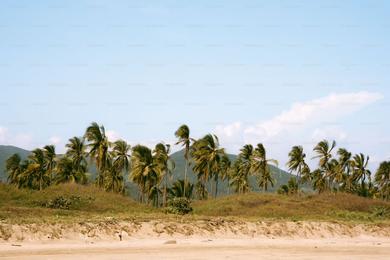 Sandee Best Non-Smoking Beaches in Burundi