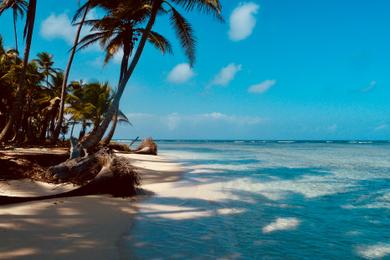 Sandee Best Beaches in San Blas Islands