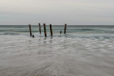 Sandee Best Beaches in Dunedin