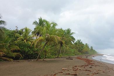 Sandee Best Disability Beaches in Costa Rica