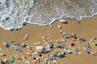 Sandee Most Polluted Beaches in Afghanistan