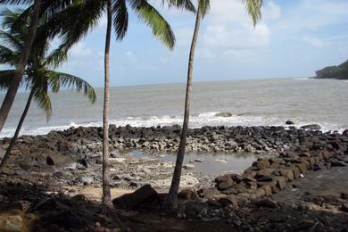 Sandee Best Family Friendly Beaches in French Guiana