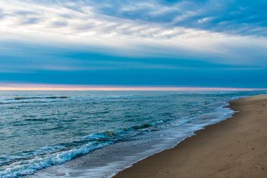 Sandee Best Dog Beaches in Timor-Leste