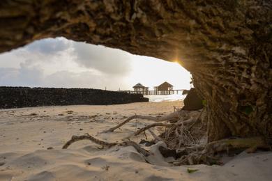 Sandee Best Surfing Beaches in Samoa