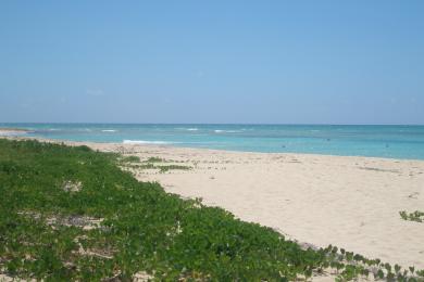 Sandee Sandy Point Photo